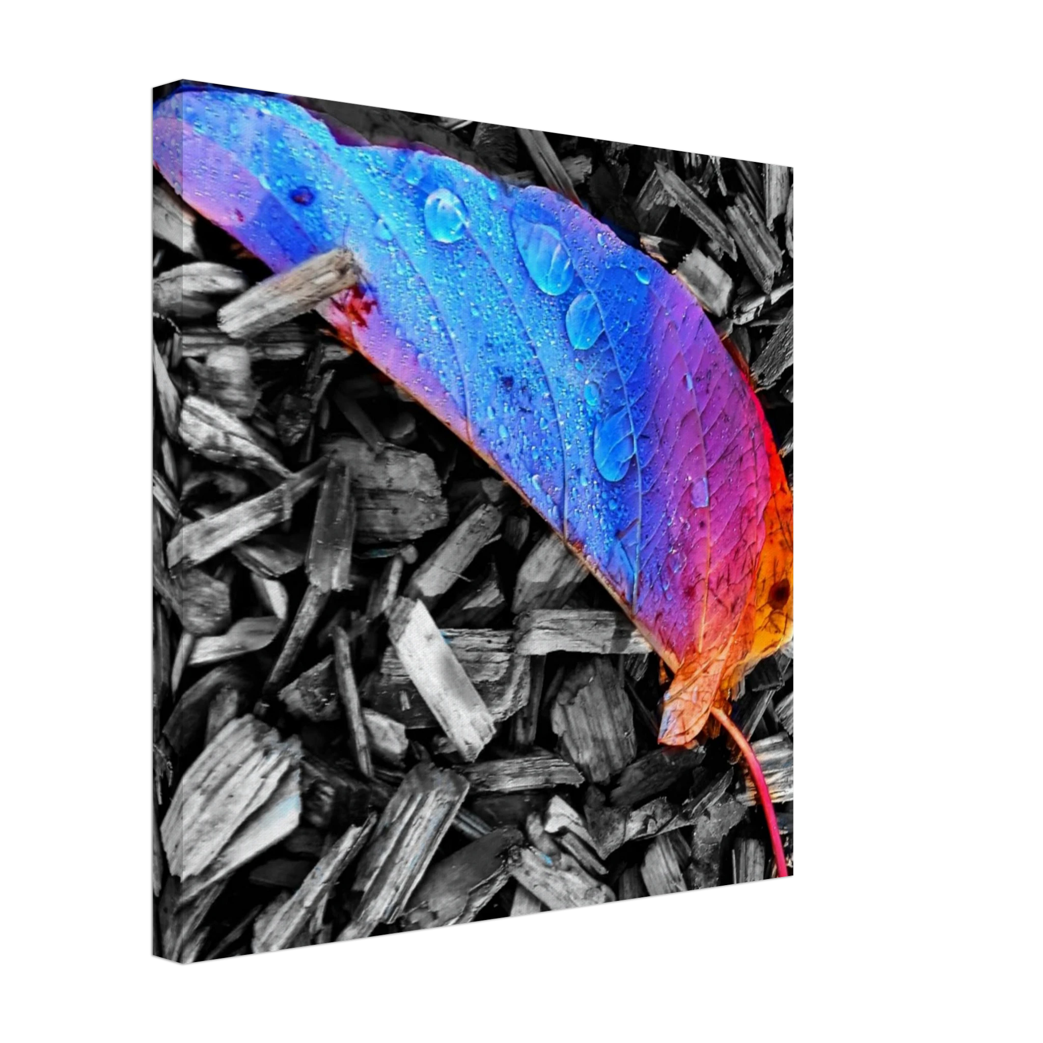 c1b580fc-c675-4f03-99f8-2aa51b660184