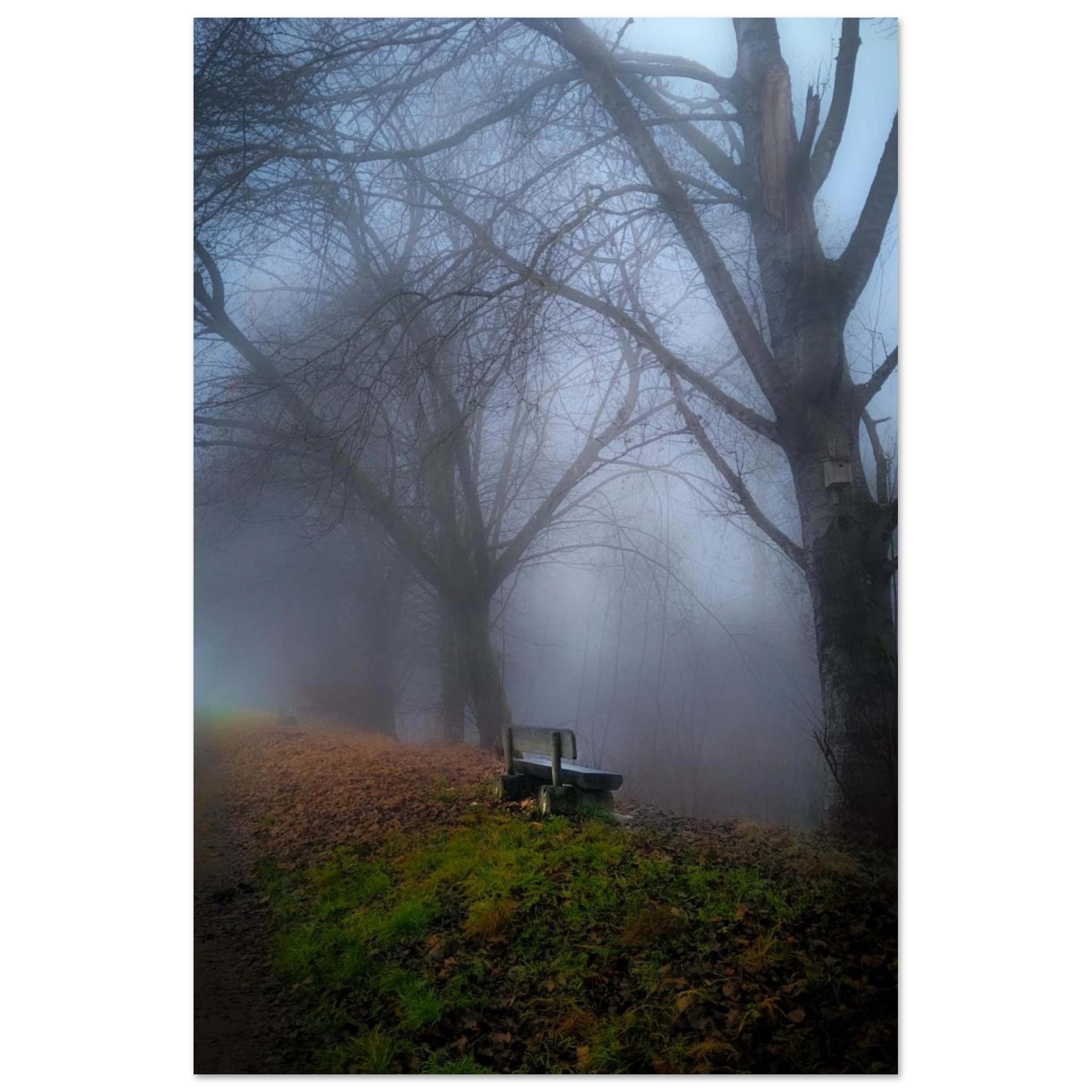 c52637be-d6b7-4462-b343-d58c8dc0877b