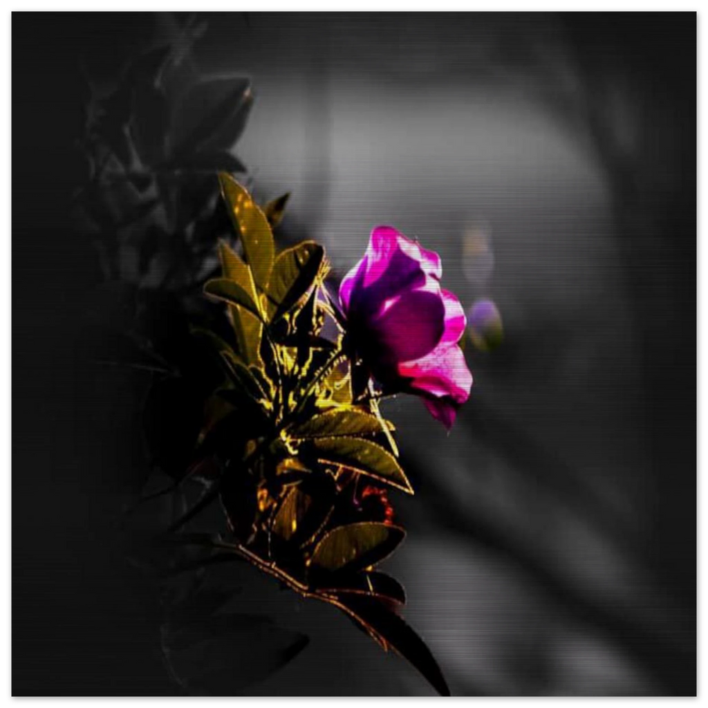 c58dd394-97c5-4150-b21f-be900d3daa71