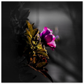 c58dd394-97c5-4150-b21f-be900d3daa71