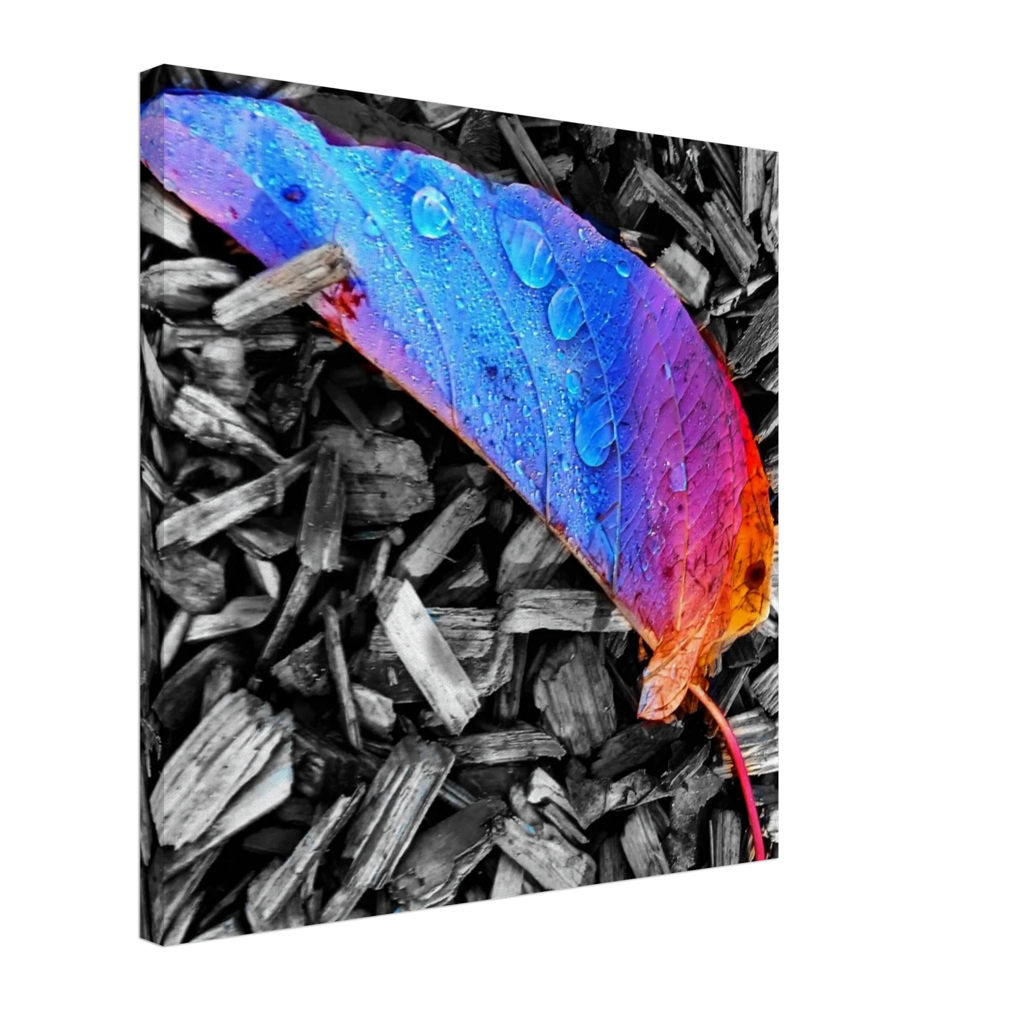 cc01f56b-0594-44a1-a0d0-cc12e30daa8e
