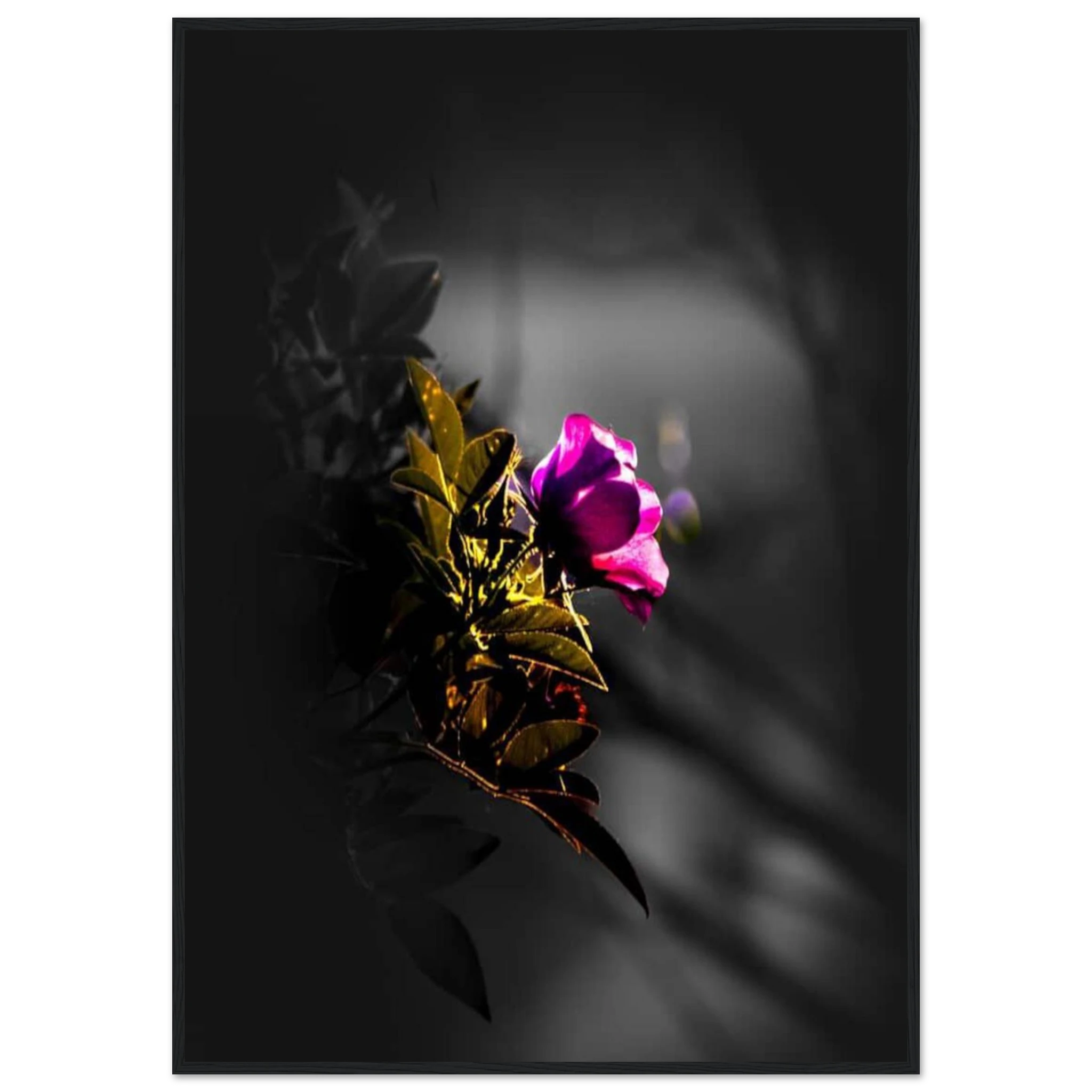 d048c418-b295-4df2-9778-fe5fa550b38c