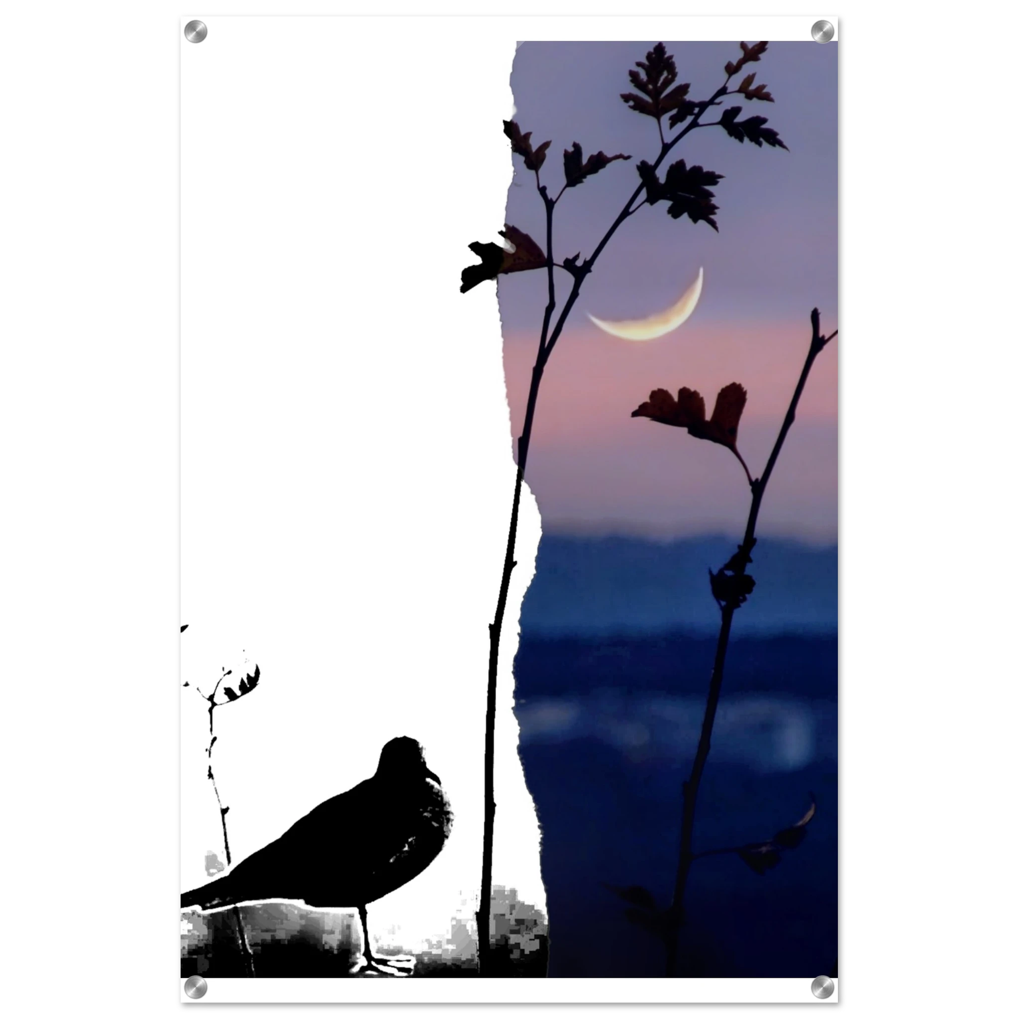 d05c425d-59a3-4cc4-b1f7-b0cc32ac2afd
