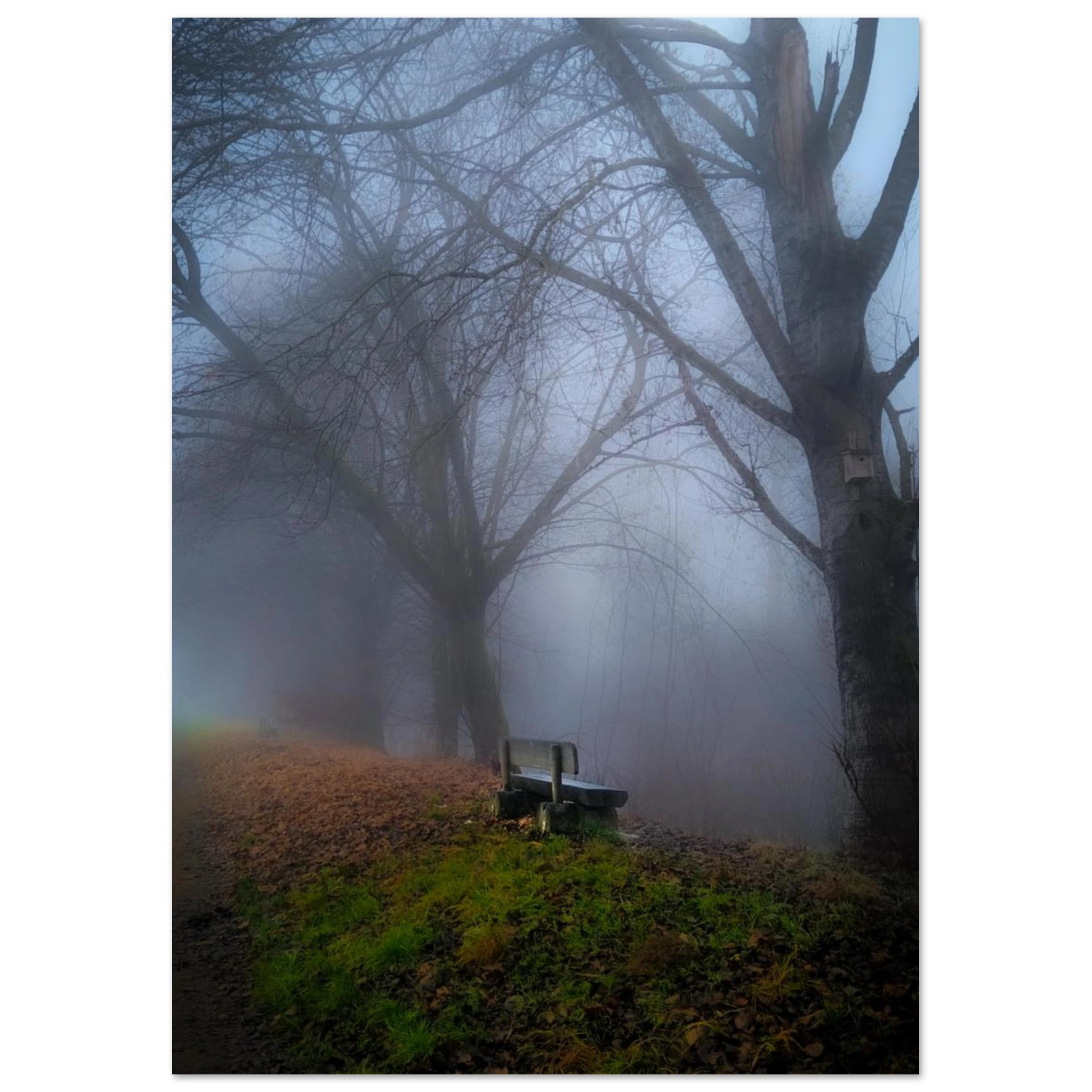 d365aa3d-ede3-4c7a-8252-d813f9814fdd