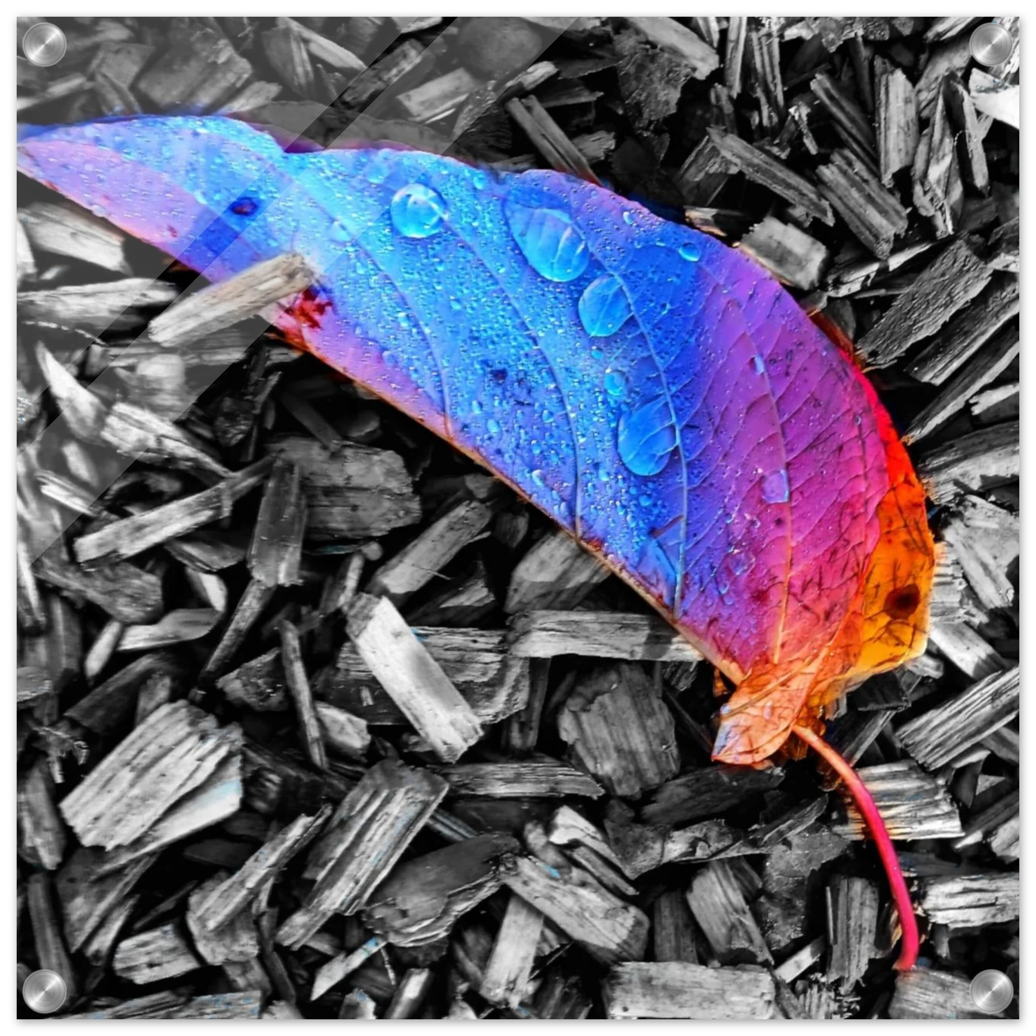 d748648d-063e-4269-bddf-04776469bb4a