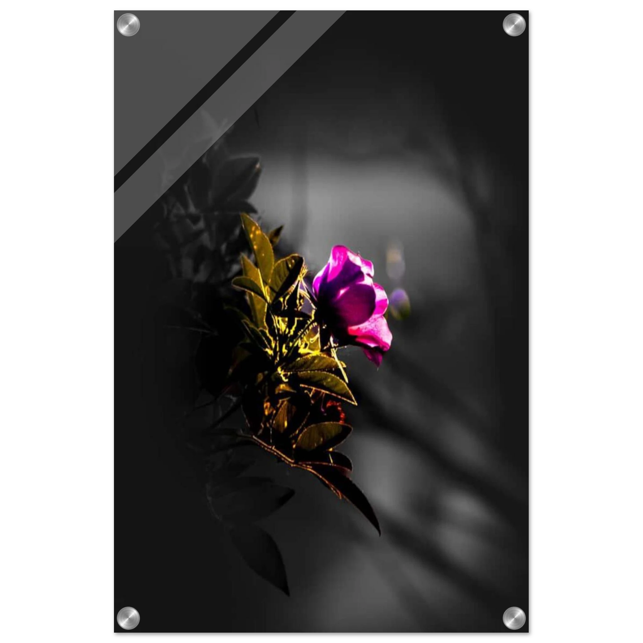 e14722b1-d419-49db-b522-4841694b561f