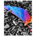 e3fcc54c-8a34-4402-98c0-eb2c305f4724