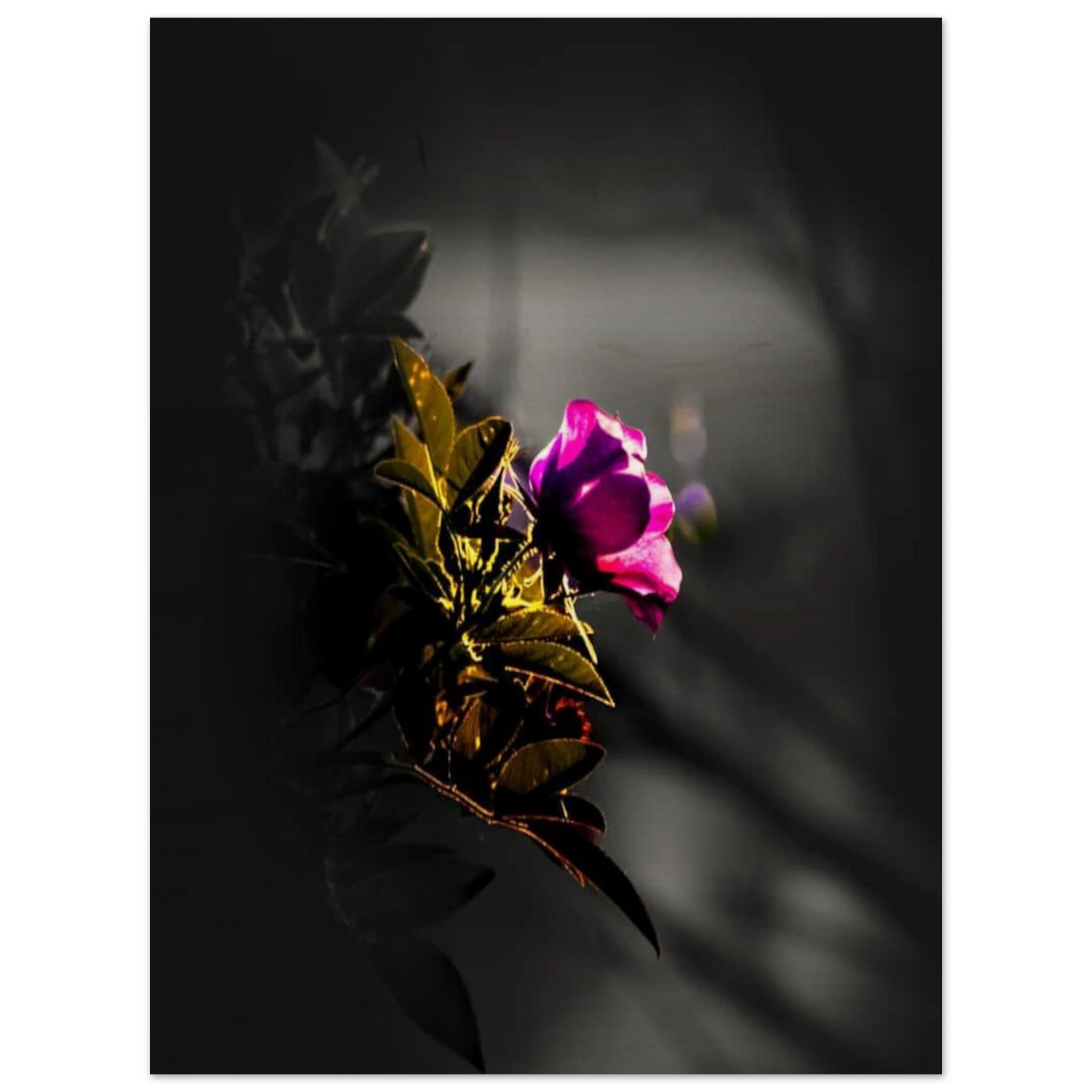 e4f372d7-b6a4-4f61-82bd-5e8b553c2213