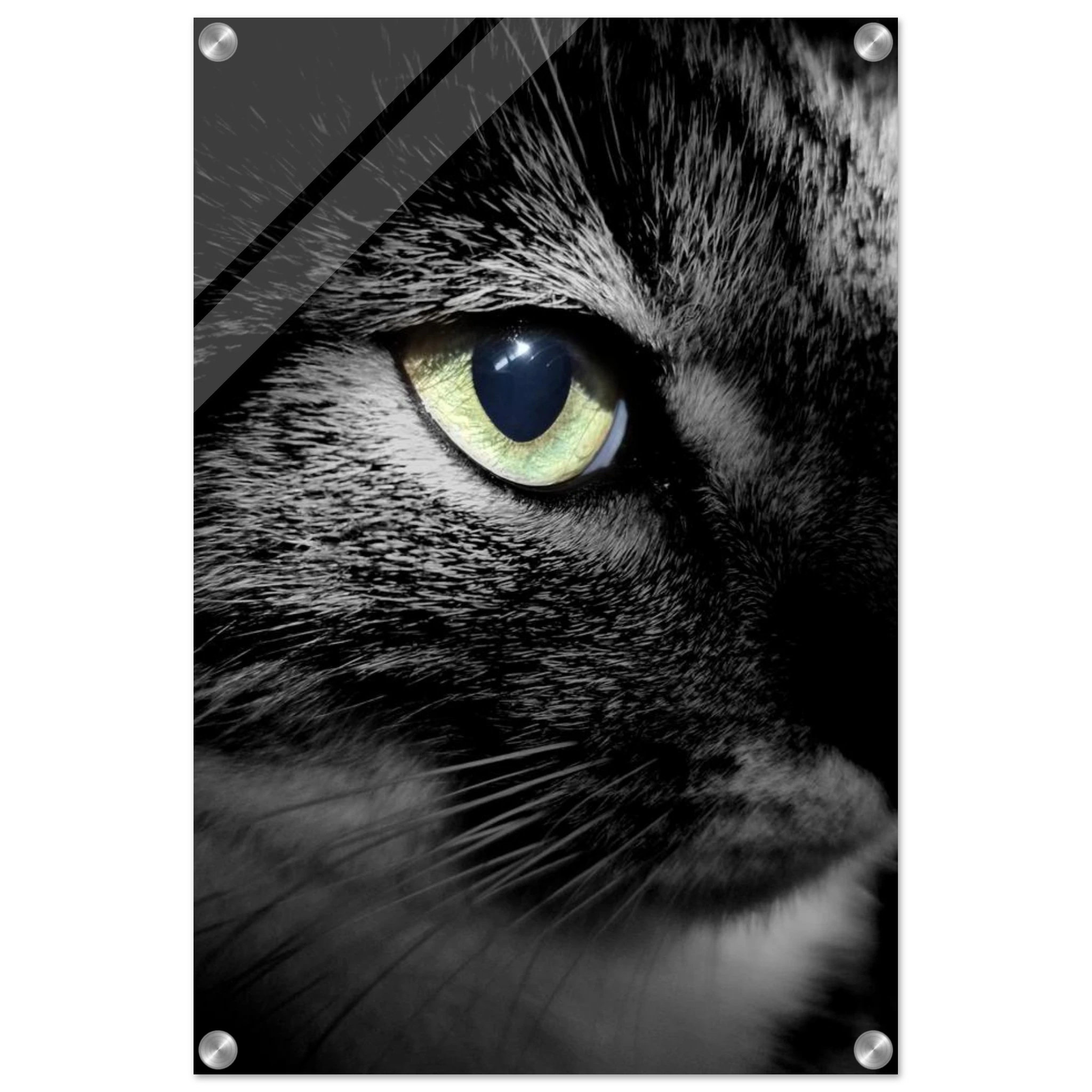 e9018840-0f0a-4a3e-94a3-141ba2fa8b09