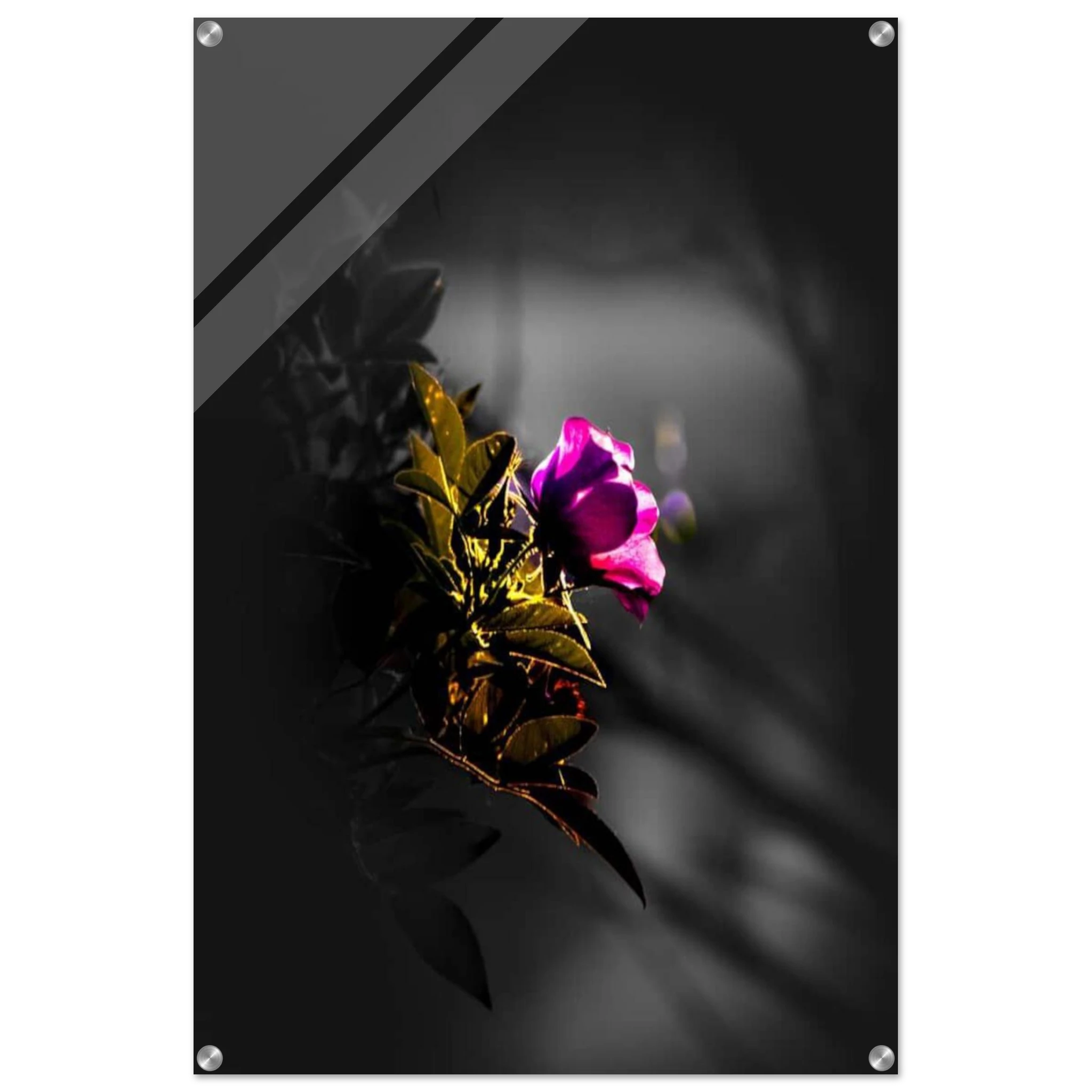 ed002946-956b-4d8e-ab3d-d8922a061f50