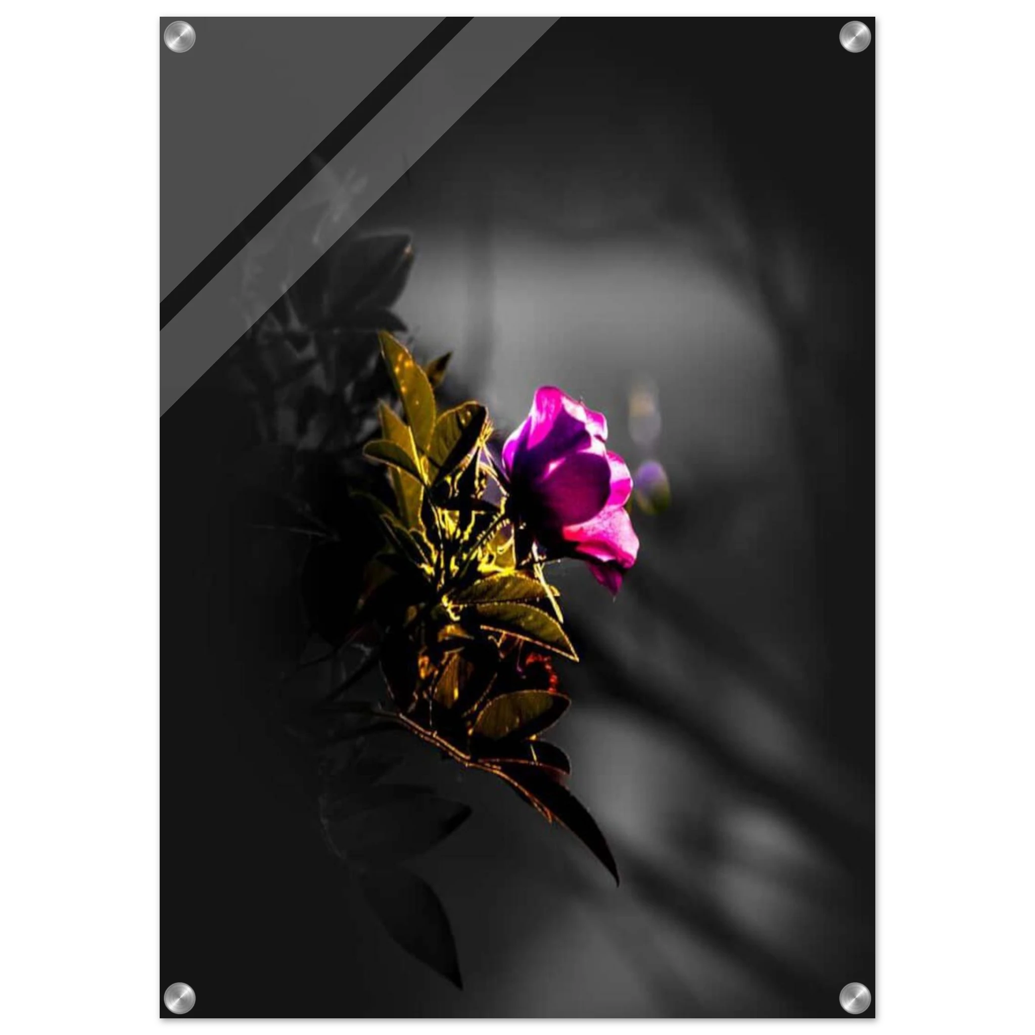 ed047520-f5e2-401d-aa94-0574b3c6fed9