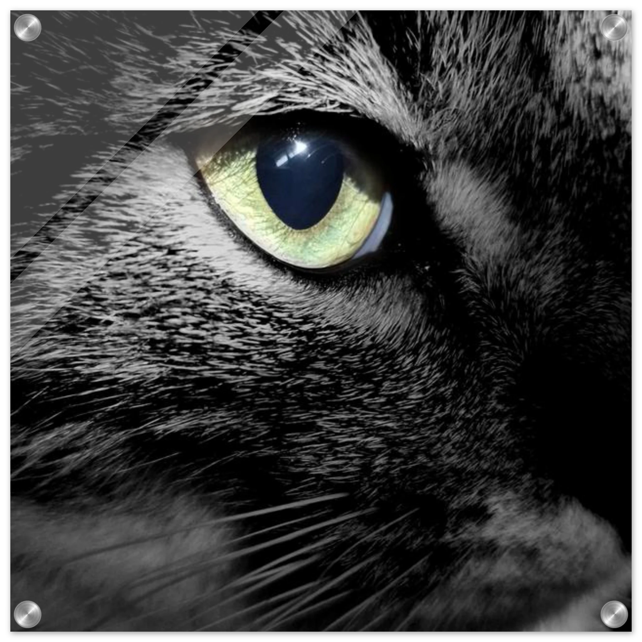 eee78499-99a9-41dc-affe-774868ecf40e