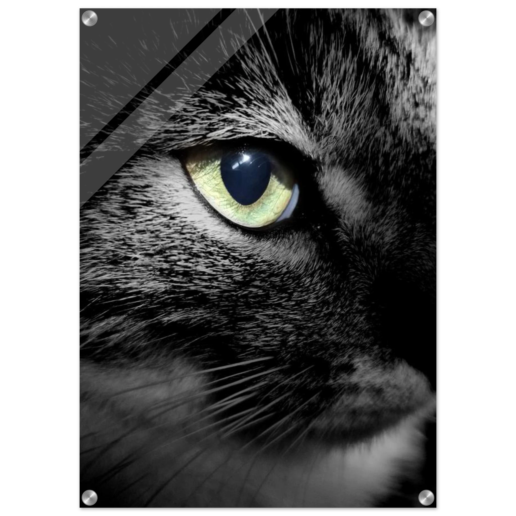 f5bb28a4-f0d0-4294-bb3a-29c1e7518d8f