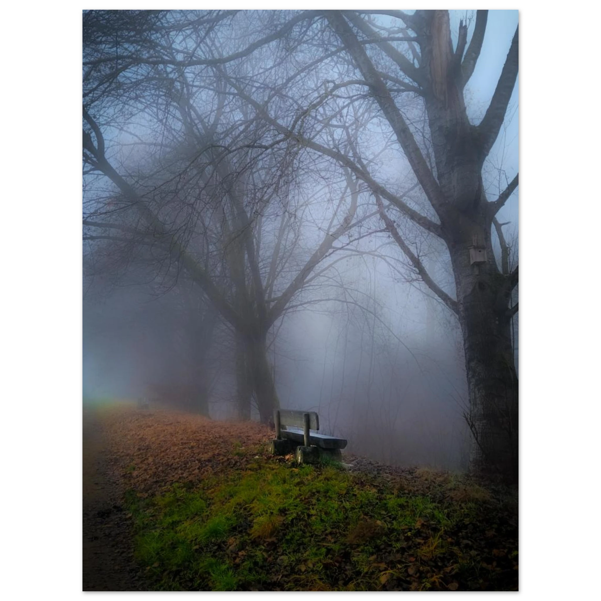 f6d91f92-f145-44b7-bdca-d73bb264ee5a