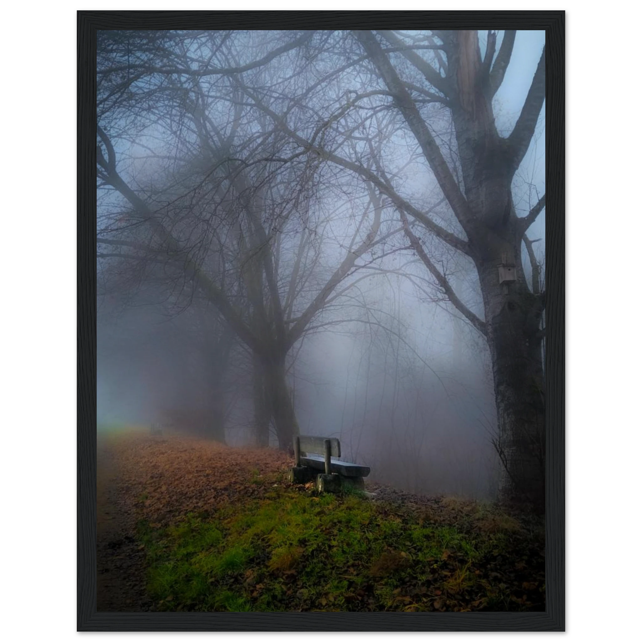 fb66d133-c3d4-4a26-bb32-c265fc2ec3f6