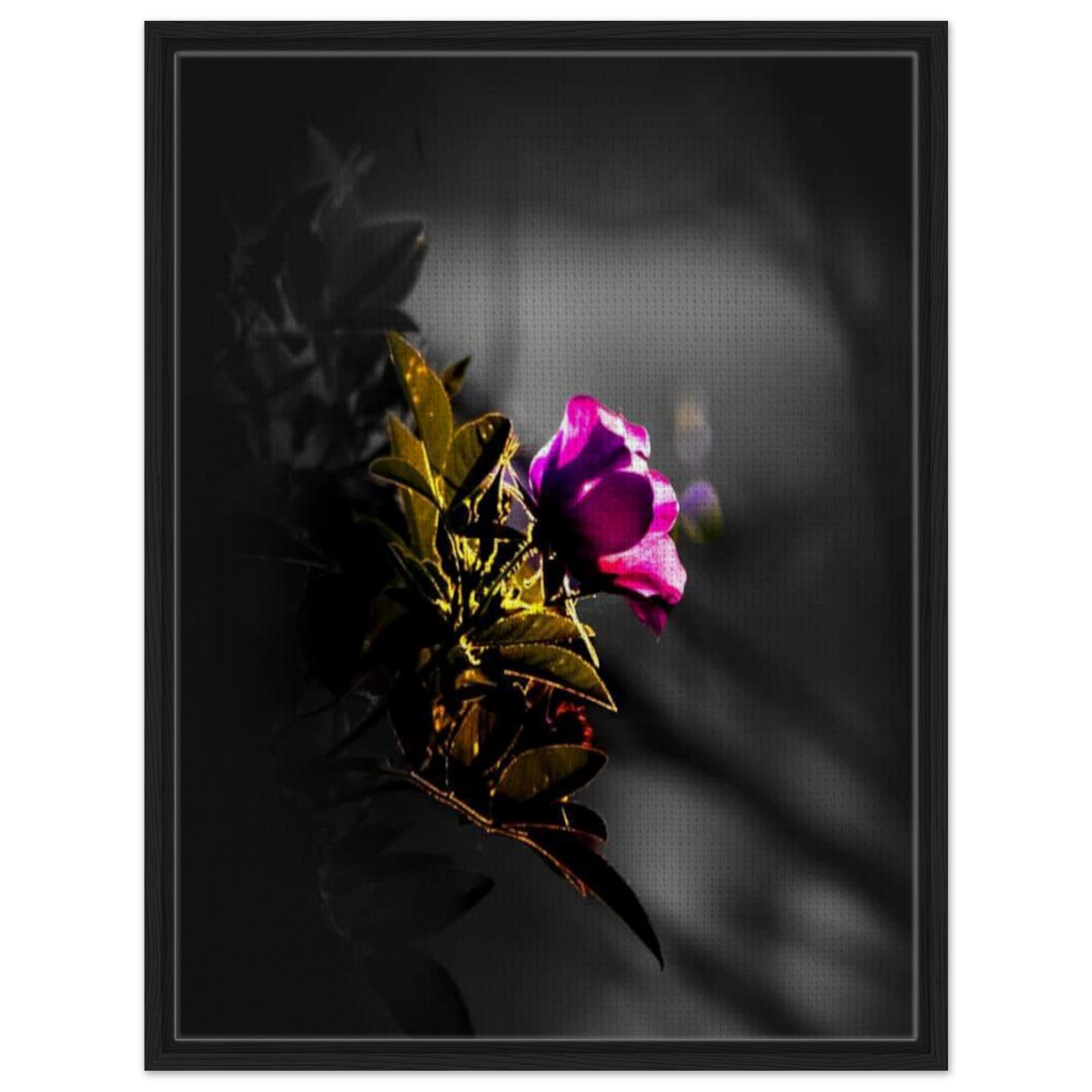 fc2f0450-671d-41e4-995c-944dab7ef0f3